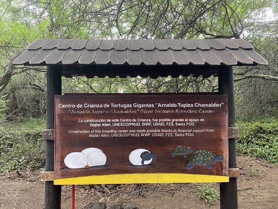 Nach einem einfachen und schnellem lunch geht es zur Schildkrötenaufzuchtfarm „Arnaldo Tupiza“