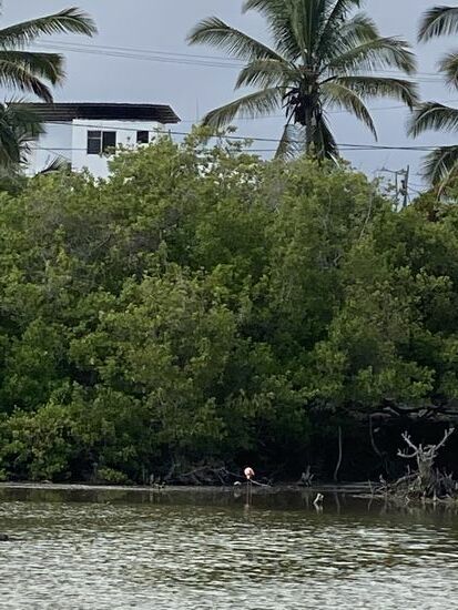 Zum Schluß gehts noch zum Flamingo-Salzsee—aber da sehen wir nur einen einzigen Flamingo