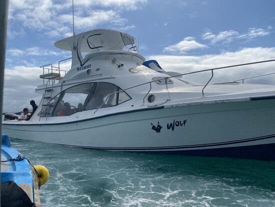 Dann gehts mit dem Speedboot wieder zurück