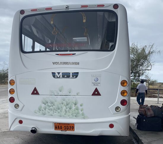 Die Busse sind von VW!!