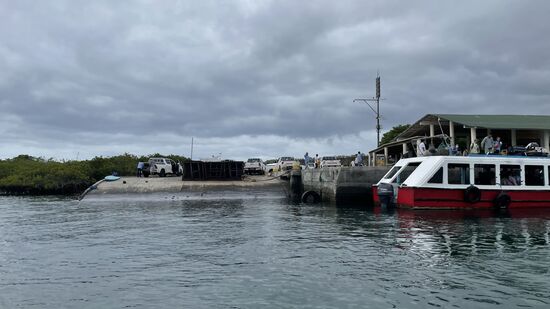 Diese ganzen Amaroks sind Taxen hier auf der Insel