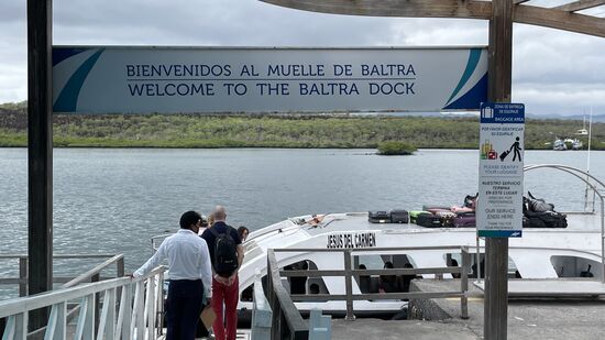 Herzlich willkommen für die neuen Gäste! Das Gepäck befindet sich schon oben auf dem Bootsdach!
