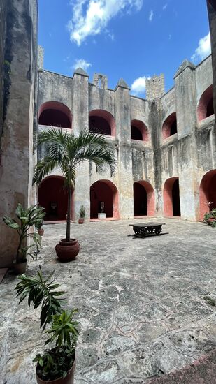 Wir verweilen hier über eine Stunde—ich suche die Cenote, aber die scheint es nicht mehr zu geben.
Wir machen uns auf dem Rückweg, die Hitze ist unerträglich —