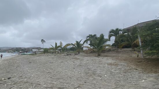 Ich gehe am Strand entlang