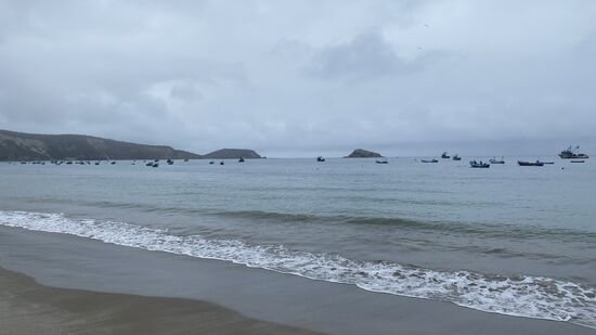 Alle sind fleißig am fischen…