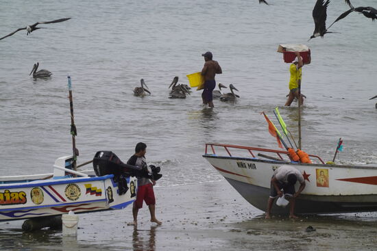 Seht ihr den Fischer mit der Kiste auf den Schultern?