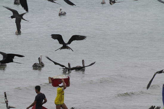 Die Vögel umkreisen ihn…