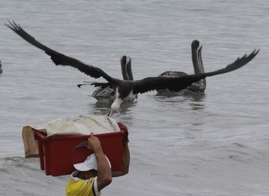 ….und da klaut sich einer was aus der Kiste…