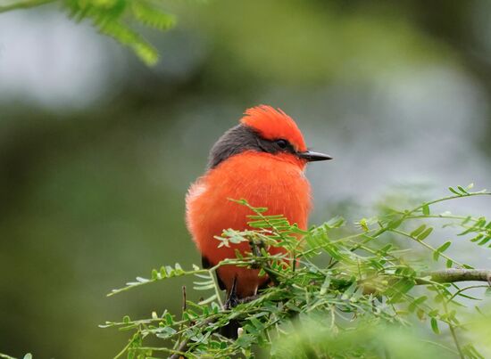 Den sehen wir von unserem Balkon…
