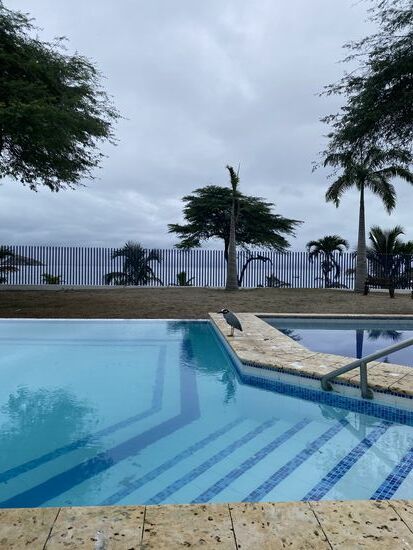 Da kommt einer, der Durst hat