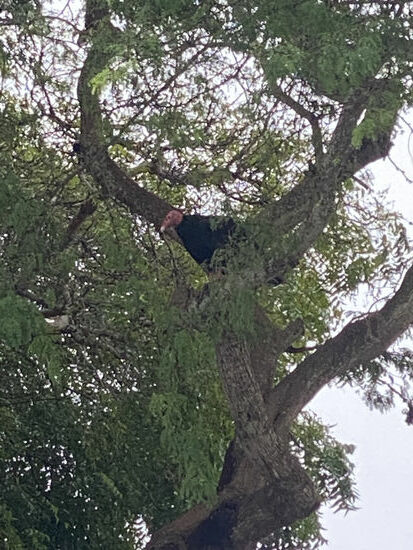Gegen 8 Uhr gehe ich ins Zimmer—nun ist auch Thomas wach und wir gehen frühstücken
