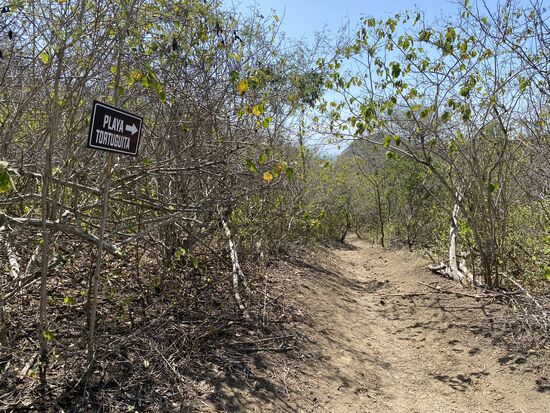 Nun wieder zurück—hier kann man auch zu dem andern Beach gehen