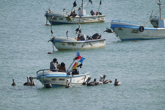 Thomas geht an den Strand und macht Fotos