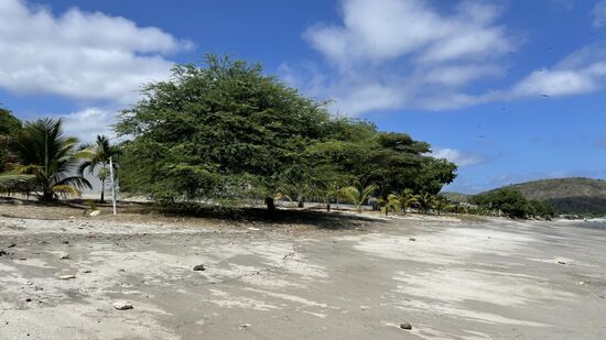 Tatsächlich hatten wir heute mal keinen Regen!