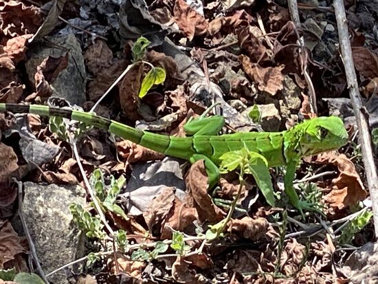 Der Kleine sitzt da auf dem Weg