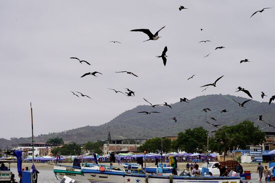 Unglaublich wieder die Massen von Vögeln