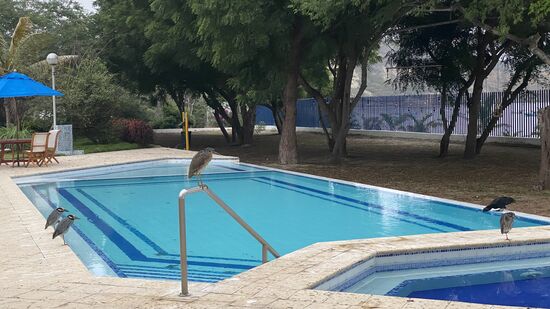 ……da warten sie schon auf mich…