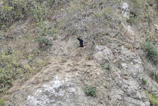 Dort fliegt einer mit dem aufgeblähten Sack!