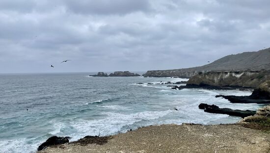 In der Ferne erblicken wir wieder einen Wal!