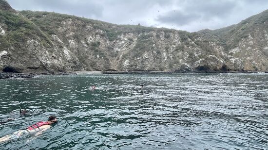Wir fahren ein Stück um die Insel und dann wird geschnorchelt…