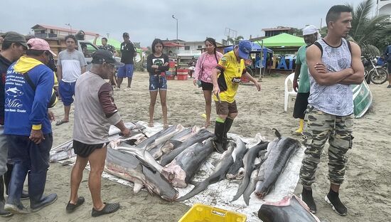 Wieder staune ich über die Gelassenheit der Menschen, keiner stört sich, dass wir zuschauen und Fotos machen