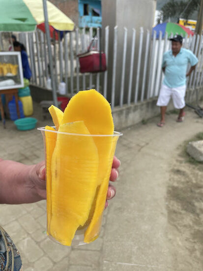 SO viel Mango gibt es hier für 1 US$