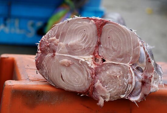 Wir glauben, dass dies Thunfisch ist. Hier wird sehr viel Thunfisch gefangen.