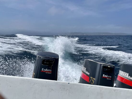 Nach etwa einer Stunde gehts zurück zum Festland