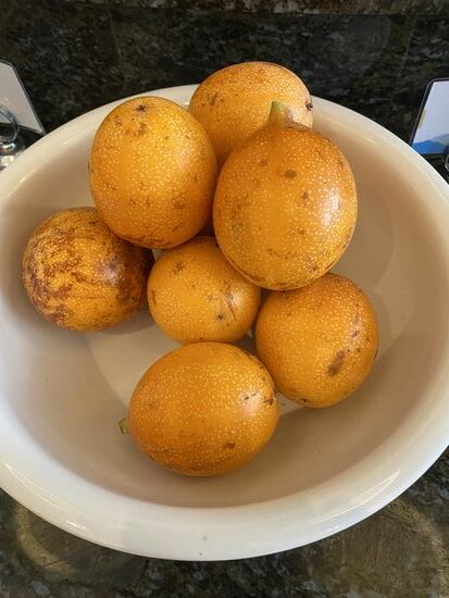 Maracuja oder Passionsfrucht…was auch immer-sie sind köstlich!!