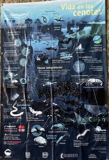 Ogott—SO viel Tiere schwimmen hier rum?