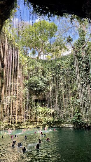Der Blick von hier unten ist mindestens so spektakulär wie von oben