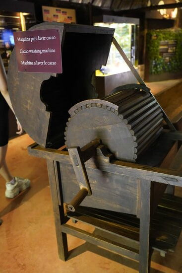 Kakao-‚Waschmaschine - die Bohnen müssen mehrmals gründlich gewaschen werden.