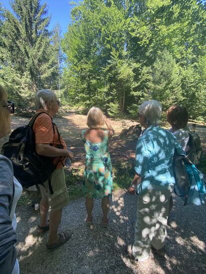 Eine Senioren-Wandergruppe  