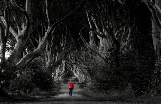 ...und da geht ein Mann... (Jens)--mit neuer Jacke, ein schöner Kontrast...