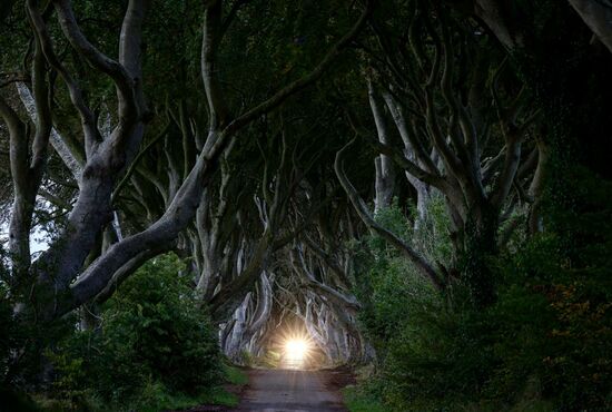 Da kommt ein Auto.....