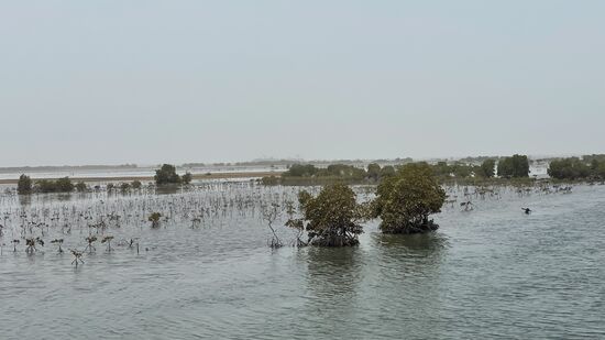 Weiter gehts nach Ziguinchor