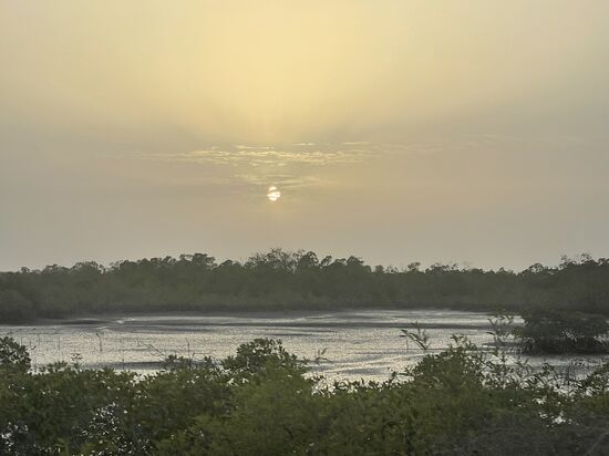 Wir sind am frühen Abend da-Cap Skirring ist ein typischer Touristenort.
Viele kleine Hotels gibt es hier. Für uns ist es hier das „Hotel stressless“
Wunderschön gelegen-viele kleine aneinandergereihte Bungalows mit Meerblick, toller AC und alles ist sauber und gepflegt.
Das Restaurant klein aber fein mit wenigen, netten ausgewählten Gerichten