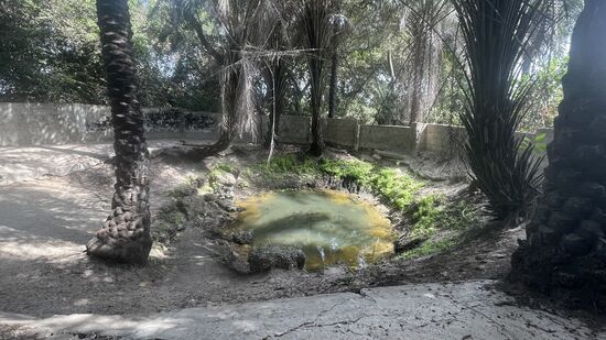 Ein Teich mit heiligem Wasser