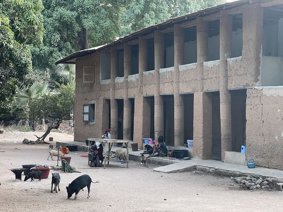 Im Garten hinter dem Haus spielen die Schweine —ein weiteres Haus dieser Art ist gleich daneben. Dort lebt eine Familie mit Kindern und Tieren