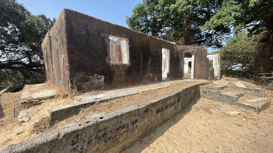 Wir haben auch hier wieder einen Guide, der aber kein Englisch spricht. Dawda muß alles übersetzen—es geht auch hier wieder nur um Geldverteilung—d.h.: jeder soll was vom Kuchen abbekommen