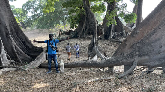 Eigentliche wäre das eine tolle Filmkulisse