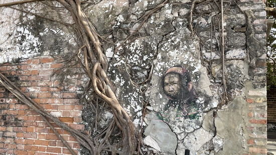 Ein schönen Bild der Jungfrau Maria—umwachsen von den Luftwurzeln