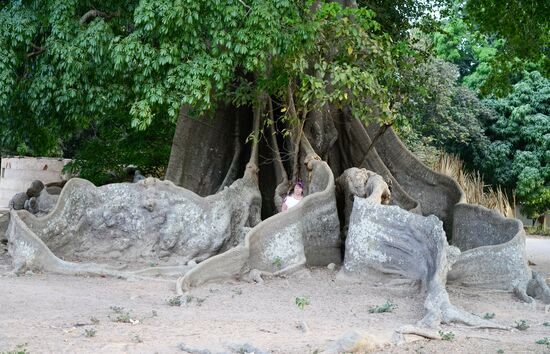 Wieder ein riesiger Baobab-Baum. Ich bin winzig hinter den Wurzeln