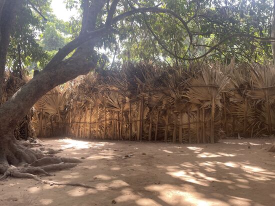 Hier warten wir gespannt auf den König, der wohl gleich hinter der Bambuswand hervorkommt…