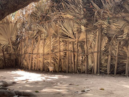 …das ist er auch nicht….