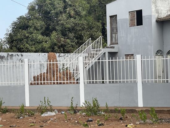 Bei uns gibt es Zwerge im Vorgarten—hier sind es Termitenhügel