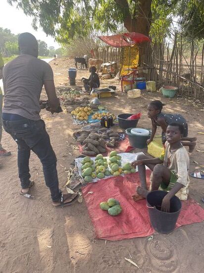 Ich bitte Kalidou, dass wir mal stoppen um Mangos und Bananen zu kaufen