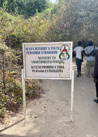 Hier gehts zum König…