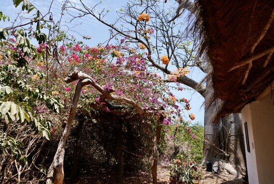 Überall blüht es hier. Und es gibt zahlreiche - leider sehr scheue - Vögel,
