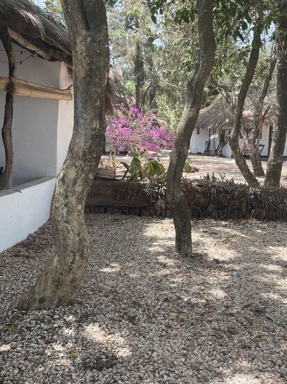 Hier liegen überall Muscheln anstelle von Kieselsteinen. Es werden schubkarrenweise die Muscheln herangekarrt